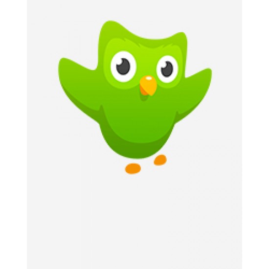 Duolingo Plus Edu 1 Yıllık Lisans